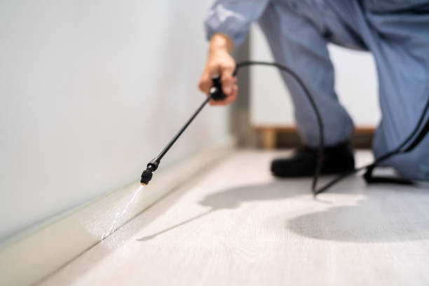 Licensed Termite Control service in East Basin, UT - Nex Pest Control