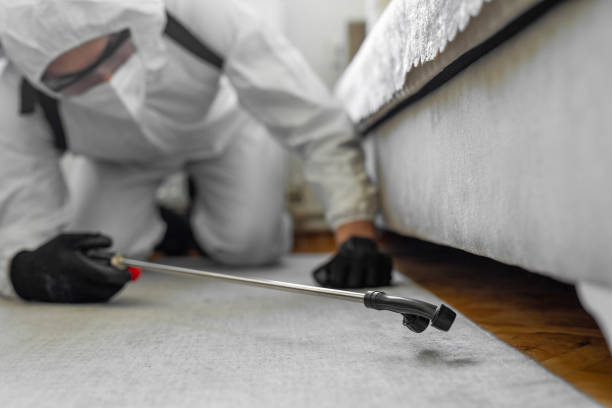 Professional Termite Control technician working in East Basin, UT