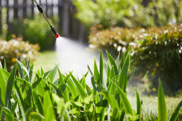 24/7 Emergency Termite Control experts in East Basin, UT