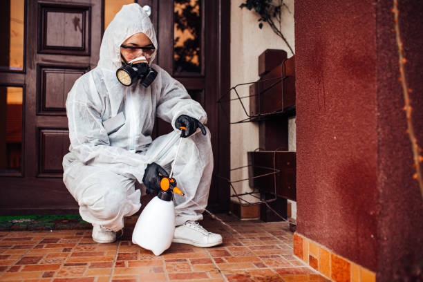 Reliable Termite Control contractor in East Basin, UT by Nex Pest Control