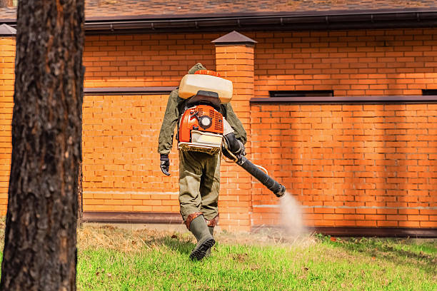 Trusted Termite Control service in East Basin, UT - Nex Pest Control
